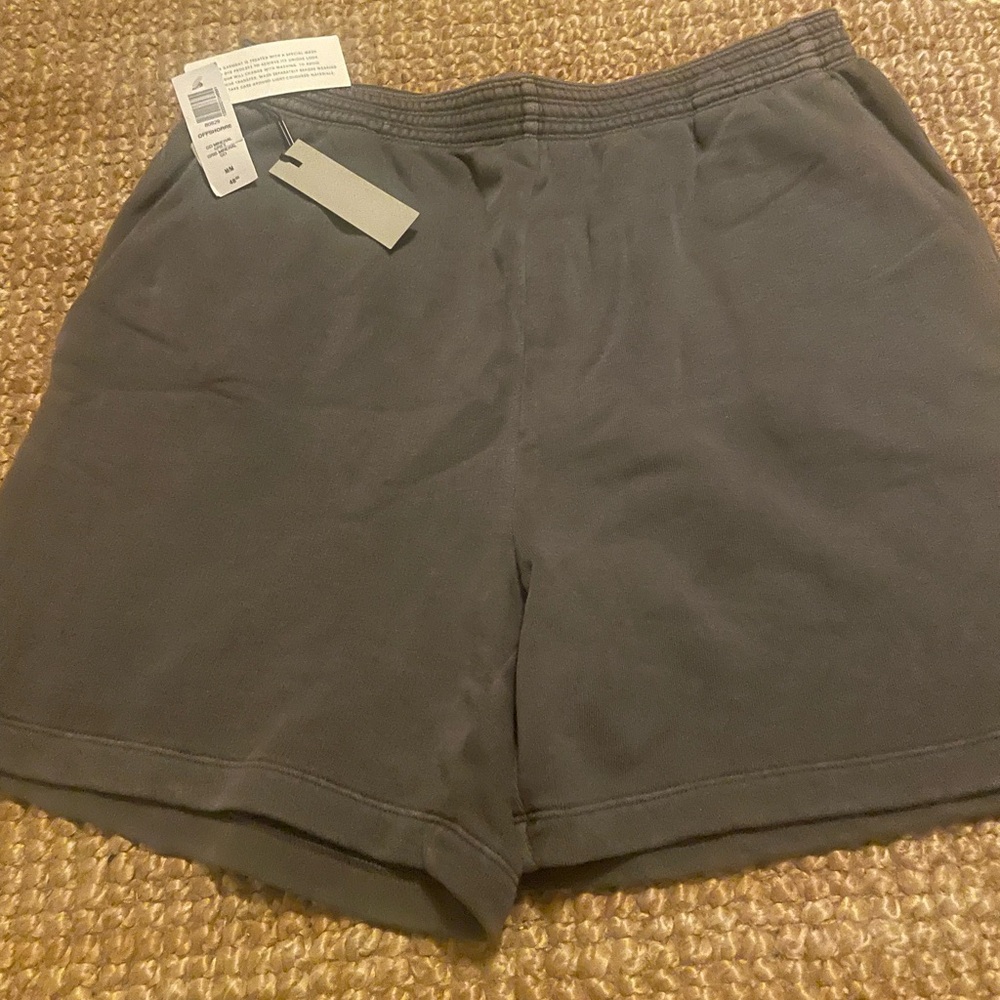 Aritzia mineral grey sweatshort